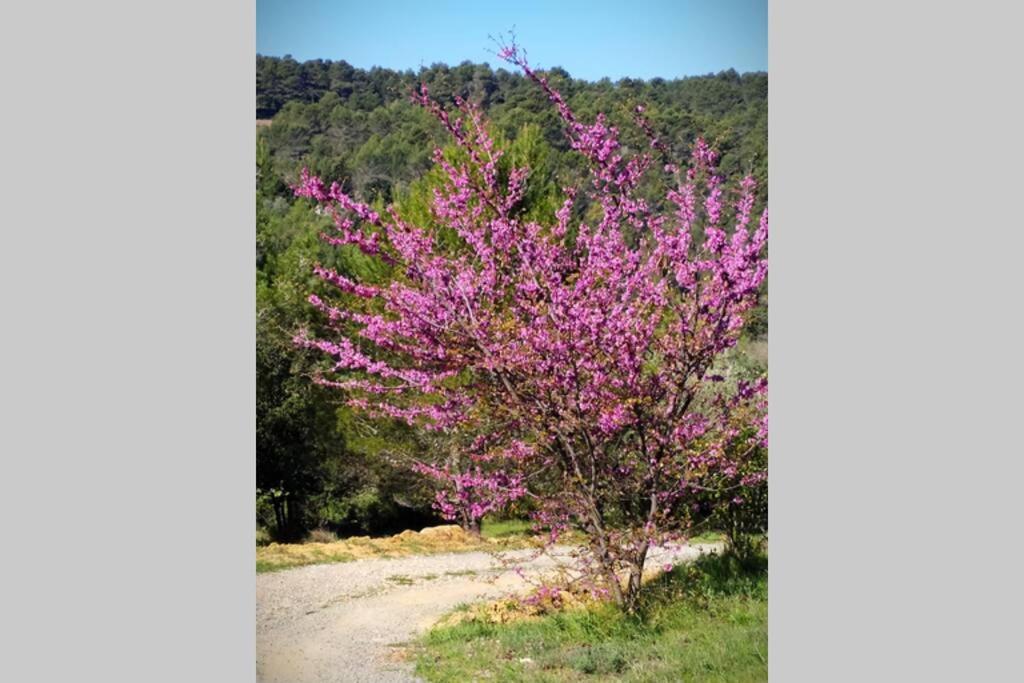 L'Arbre A Soleil Villa Aigues-Vives  Luaran gambar